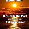foto do perfil contos-carvalhos-